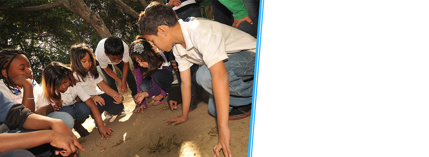 Rancho Los Alamitos Education
